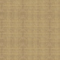 color-1