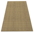 color-1